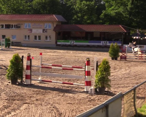 Reitturnier Lgl.-Oberhain, B95 2019