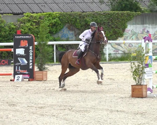 Reitturnier Münsingen 2019