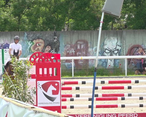 Reitturnier Münsingen 2019