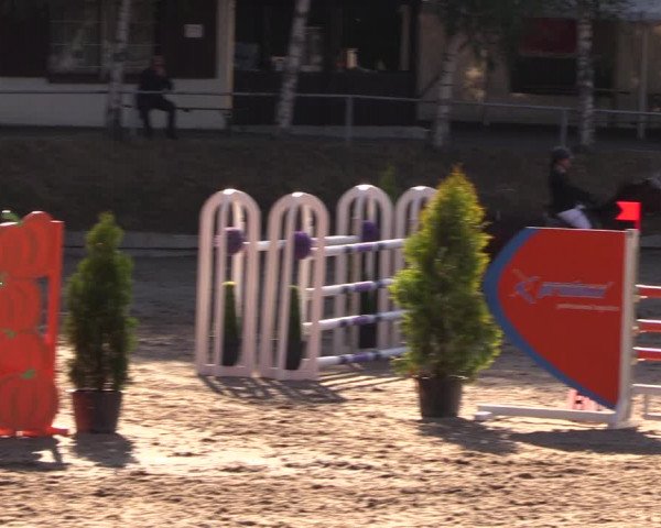 Reitturnier Lgl.-Oberhain, B95 2019