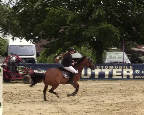 Reitturnier Iserlohn-Kalthof 2019