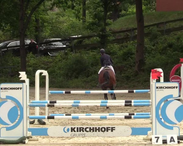 Reitturnier Iserlohn-Kalthof 2019