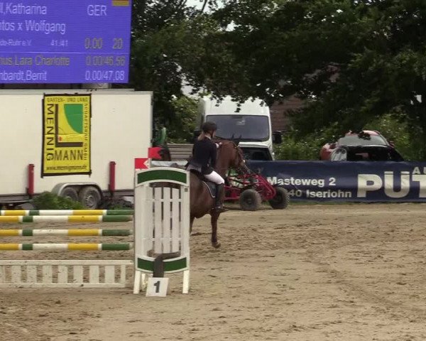 Reitturnier Iserlohn-Kalthof 2019