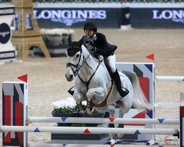Zuchtstute Geisha van Orshof (Belgisches Warmblut, 2006, von Cabrio van de Heffinck) Zuchtstute Geisha van Orshof (Belgisches Warmblut, 2006, von Cabrio van de Heffinck)