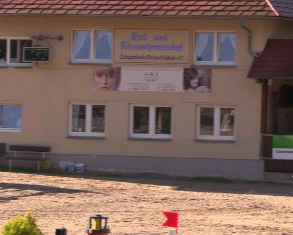 Reitturnier Lgl.-Oberhain, B95 2019