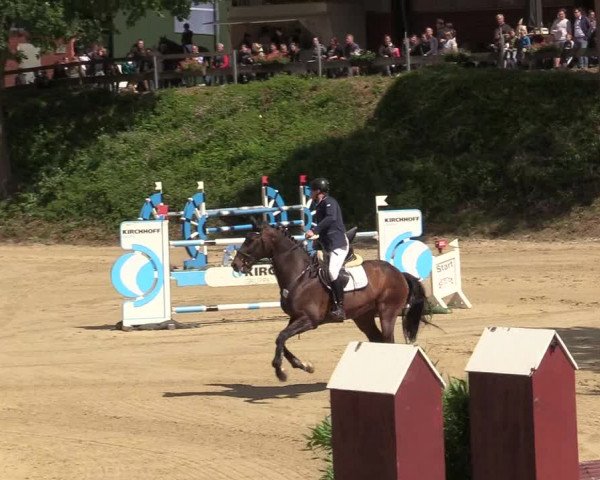 Reitturnier Iserlohn-Kalthof 2019