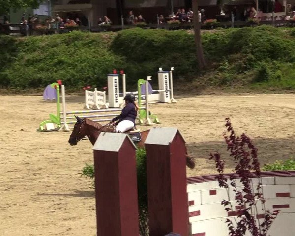 Reitturnier Iserlohn-Kalthof 2019