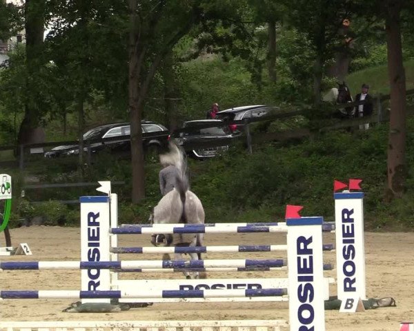 Reitturnier Iserlohn-Kalthof 2019