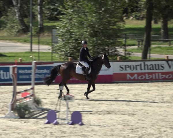 Reitturnier Westergellersen 2021