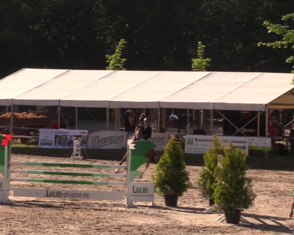 Reitturnier Lgl.-Oberhain, B95 2019