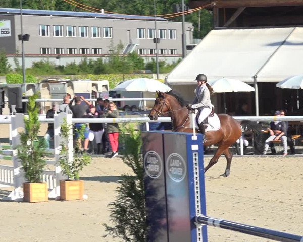 Reitturnier Münsingen 2019