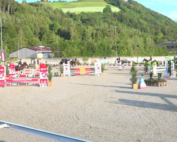 Reitturnier Münsingen 2019