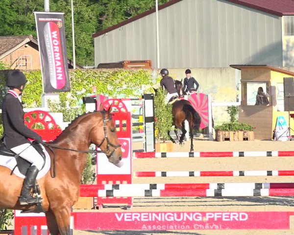 Reitturnier Münsingen 2019