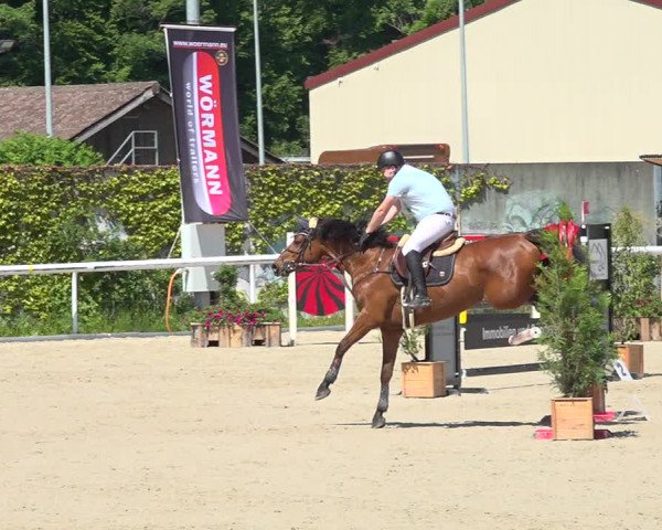 Reitturnier Münsingen 2019