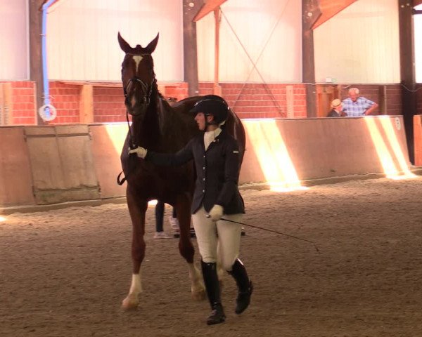 Reitturnier Iserlohn-Kalthof 2019