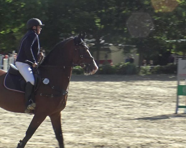 Reitturnier Bochum-Nord 2019
