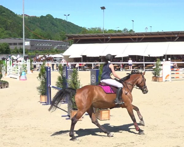 Reitturnier Münsingen 2019