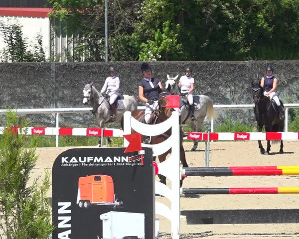 Reitturnier Münsingen 2019
