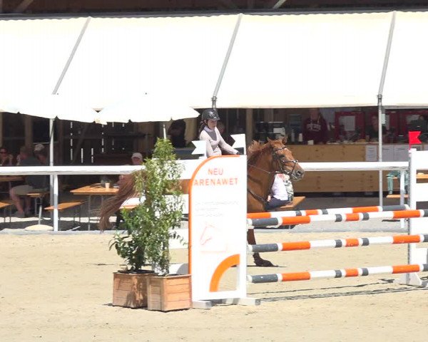 Reitturnier Münsingen 2019