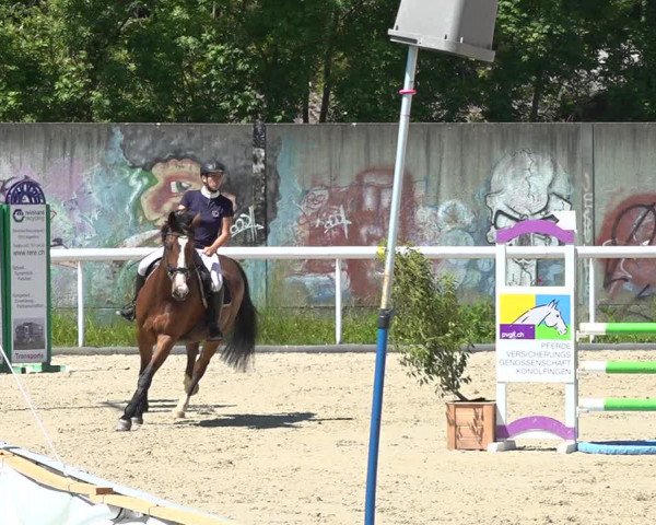 Reitturnier Münsingen 2019