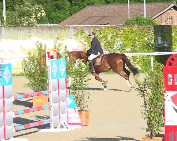 Reitturnier Münsingen 2019