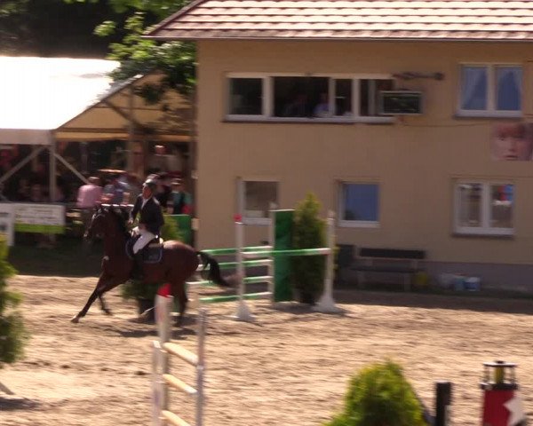 Reitturnier Lgl.-Oberhain, B95 2019