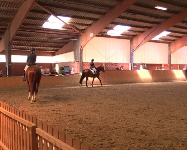 Reitturnier Iserlohn-Kalthof 2019