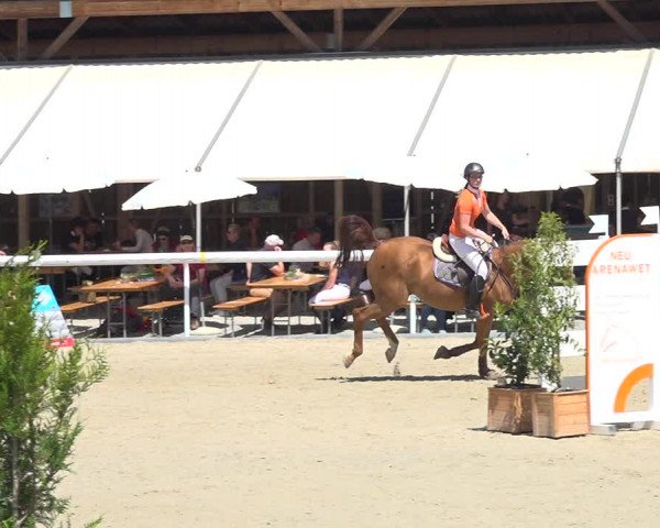 Reitturnier Münsingen 2019