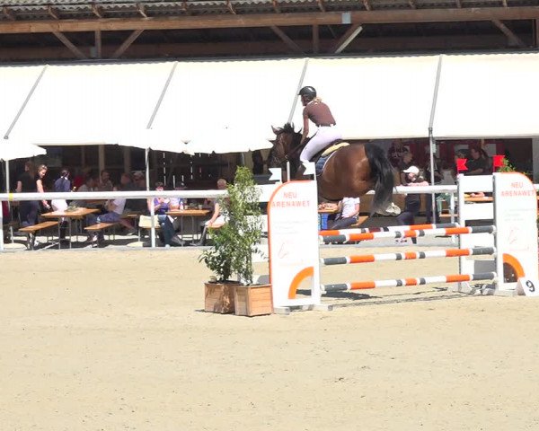 Reitturnier Münsingen 2019