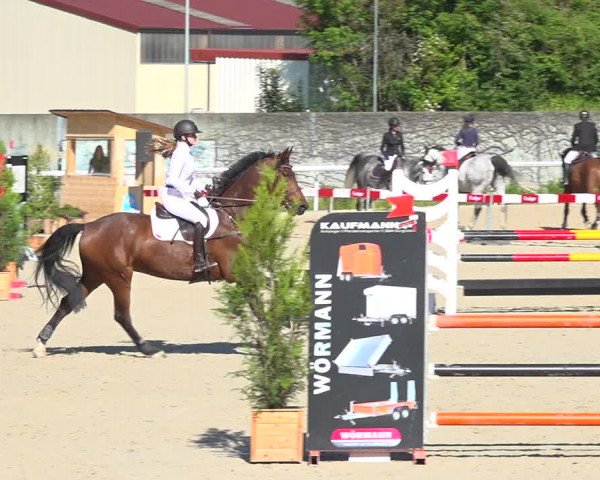 Reitturnier Münsingen 2019