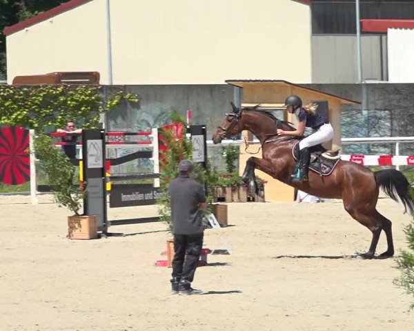 Reitturnier Münsingen 2019