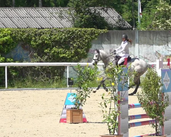 Reitturnier Münsingen 2019