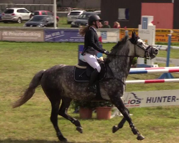 Reitturnier Rendsburg 2019