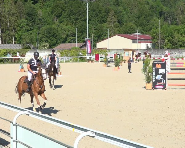 Reitturnier Münsingen 2019