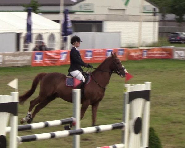 Reitturnier Rendsburg 2019