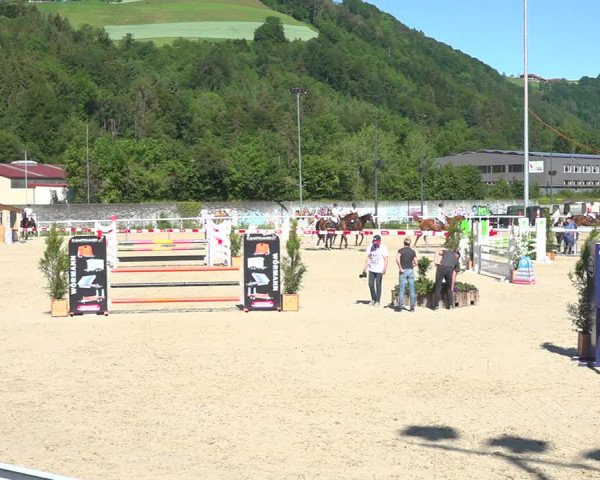 Reitturnier Münsingen 2019