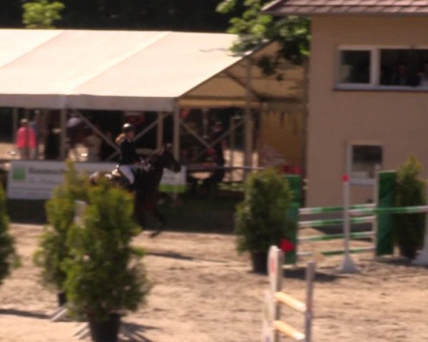Reitturnier Lgl.-Oberhain, B95 2019