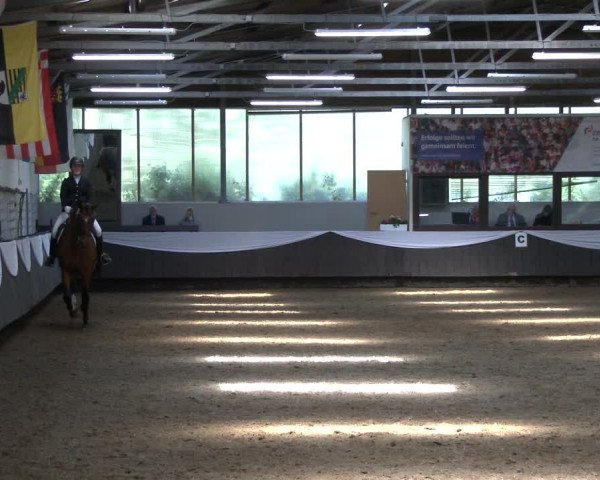 Reitturnier Bochum-Nord 2019