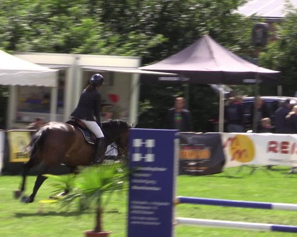 Reitturnier Borken 2019