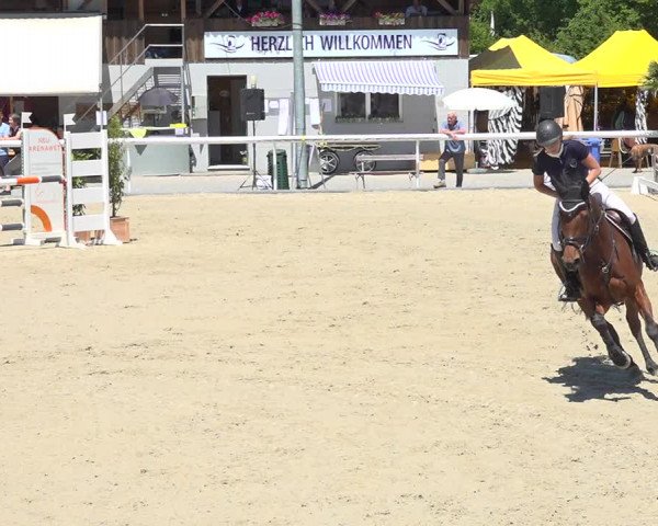 Reitturnier Münsingen 2019