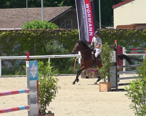 Reitturnier Münsingen 2019