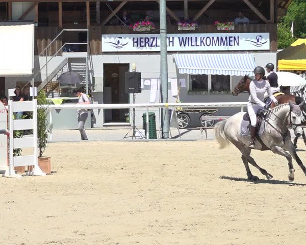 Reitturnier Münsingen 2019