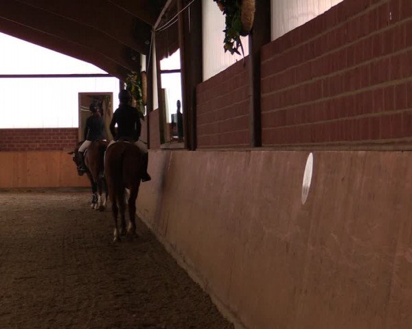 Reitturnier Iserlohn-Kalthof 2019