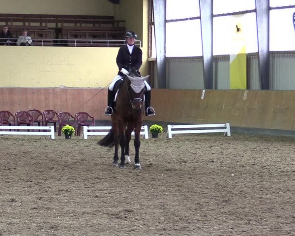 Reitturnier Frechen-Grefrath - Sonnenhof 2021