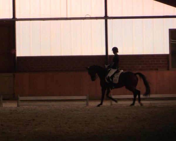 Reitturnier Iserlohn-Kalthof 2019