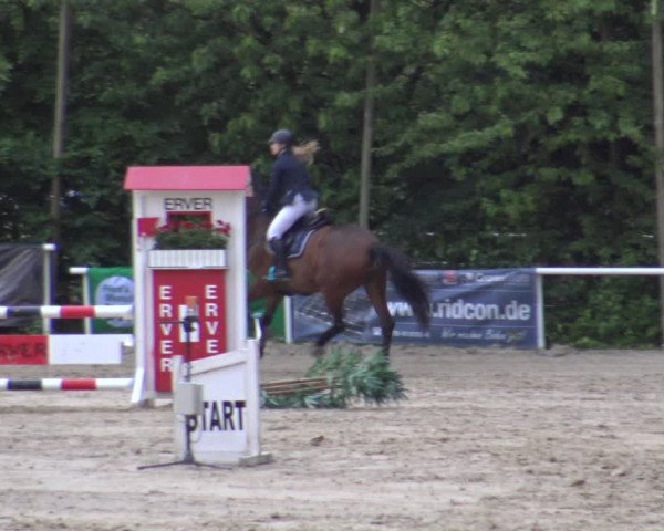 Reitturnier Bochum-Nord 2019
