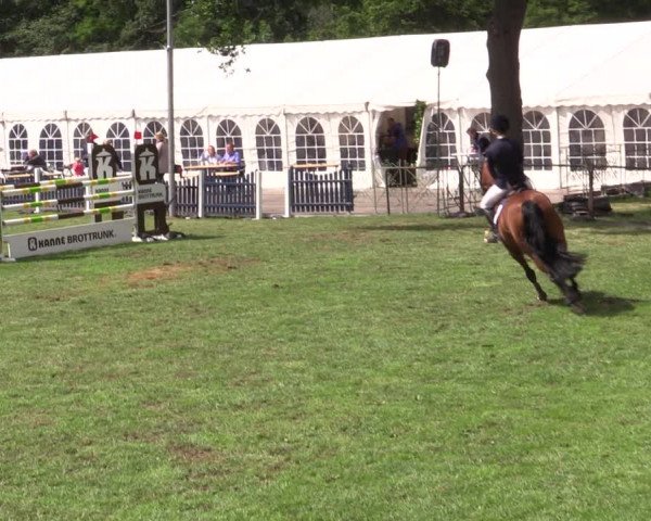 Reitturnier Borken 2019