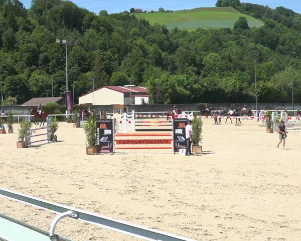 Reitturnier Münsingen 2019