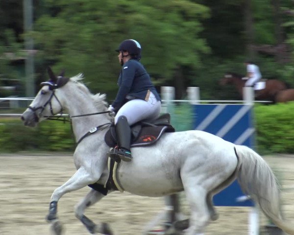 Reitturnier Bochum-Nord 2019