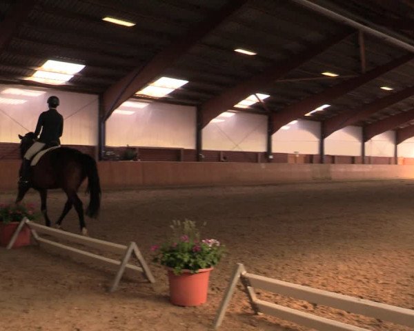 Reitturnier Iserlohn-Kalthof 2019